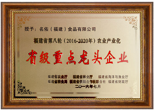 2016省級(jí)重點(diǎn)龍頭企業(yè)